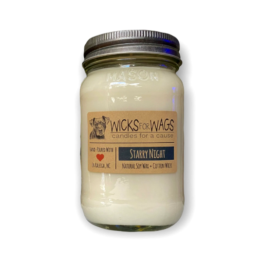 Starry Night | 14 oz Candle | Mason Jar Soy Candle