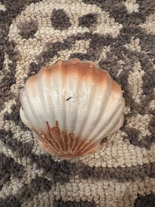 Shells
